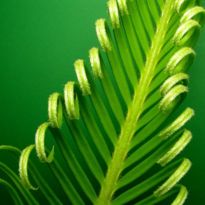 1920 x 1080 HD Wallpapers 2264